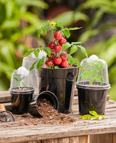 homenote 5 Inch Nursery Pots with Humidity Domes for Seed Starting (15 Pcs) - color: Black-with Lid, size: 5 Inch-15 Pack