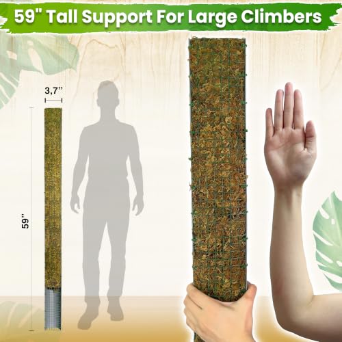 DUSPRO 59" Large D-Shape Moss Pole for Big Climbing Plants, (1pc, 59'') - size: 59" D SHAPED MOSS POLE