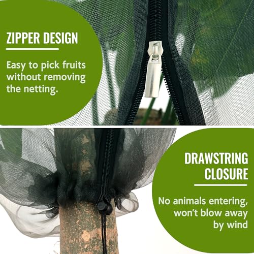 2 Pack Fruit Tree Netting Bags with Zipper and Drawstring, 6 x 6ft Ultra Fine Mesh Garden Netting Plant Cover, Bird Netting for Blueberry Bushes, Fruit Trees, Flowers (Black, 6 x 6 ft) - color: Black, size: 6 x 6 ft