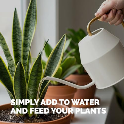 Indoor Plant Food, Complete Liquid Fertilizer for Houseplants, 8oz - size: 8 oz (1/2 Pint)