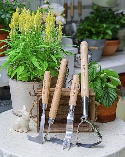 Crack Weeder Crevice Weeding Stainless Steel Lightweight Tool - size: Crevice Weed Hook