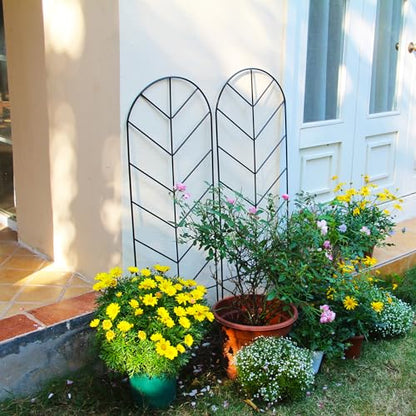 2 Pack Black Metal Trellis for Climbing Plants - 45" H x 15.9" W Garden Trellis for Roses, Vegetables, Flowers, Lawn, Backyard - color: 45 inch-2 pack