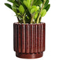 Ceramicfor Ceramic Plant Pot, 7.6 Inch, Red - color: Leopard Print Red, size: 7.6 Inch