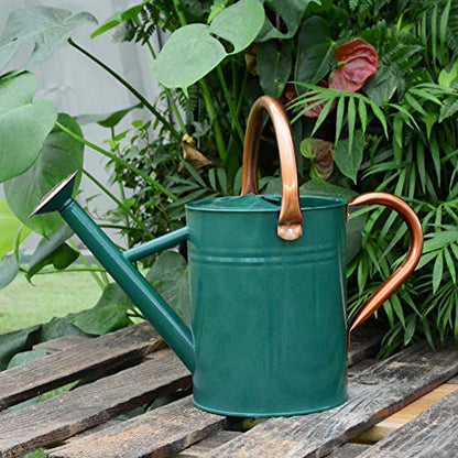 Metal Watering Can 1 Gallon for Outdoor Garden Plants, Green - color: Green With Copper Accents