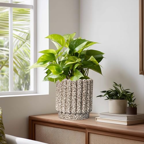 Ceramicfor Ceramic Plant Pot, 7.6 Inch, Leopard Print White - color: Leopard Print White, size: 7.6 Inch