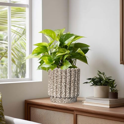 Ceramicfor Ceramic Plant Pot, 7.6 Inch, Leopard Print White - color: Leopard Print White, size: 7.6 Inch