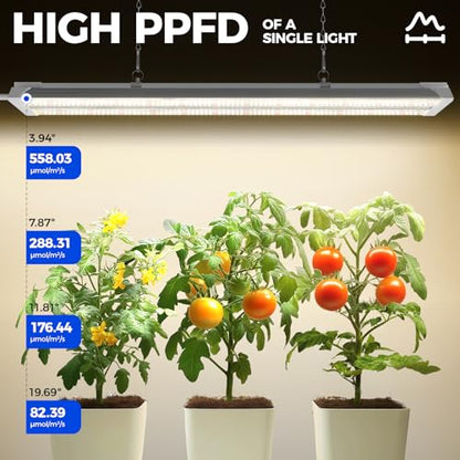 Barrina TX36 2FT LED Grow Light, 144W(4 x 36W, 800W Equivalent), Timer - color: GrowForce Spectrum, size: 2FT-36W-4P