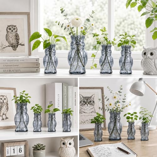 Nacome Owl Plant Propagation Station: Set of 4 Cute Grey Glass Vases - color: Gray