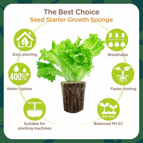 Rooting Cubes for Plant Cloning, 80PCS Grow Media with Pre-Cut Slit - size: Pre-Cut Slit-80PCS