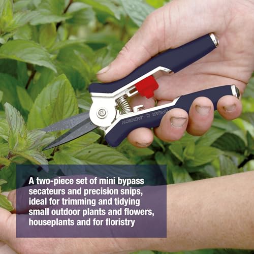 Spear & Jackson Razorsharp Mini Pruner Set for Small Garden Tasks and Bonsai Care, 2 Piece Precision Compact Lightweight Ergonomic Pruning Shears - style: Mini Pruner Set