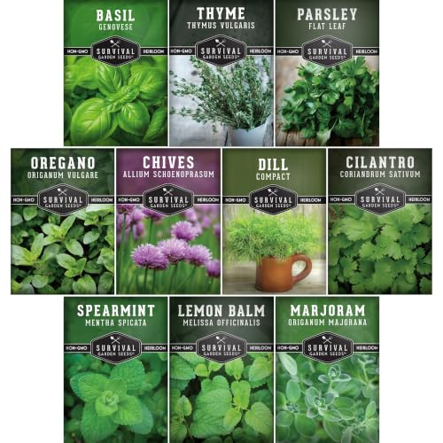 Indoor Herb Seeds Variety Pack - 10 Herbs for Planting