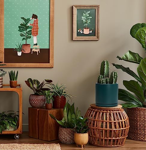 D'vine Dev 8 Inch Ceramic Planter Pot, Teal, 94-O-D-9 - color: Teal, size: Medium