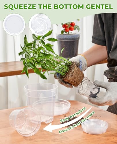 homenote 5 Inch Clear Nursery Pots 30 Pack with Drainage Holes and Saucers - size: 5 INCH