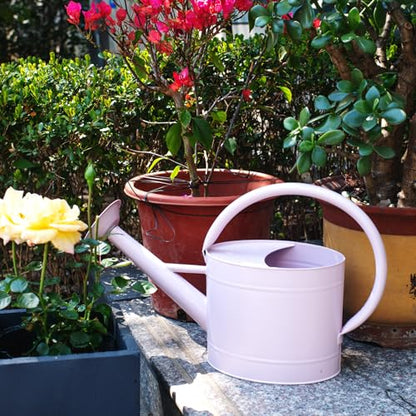 1.3 Gallon Matte Pink Metal Watering Can, Removable Spout - color: Velvet Pink, size: 1.3 Gallon