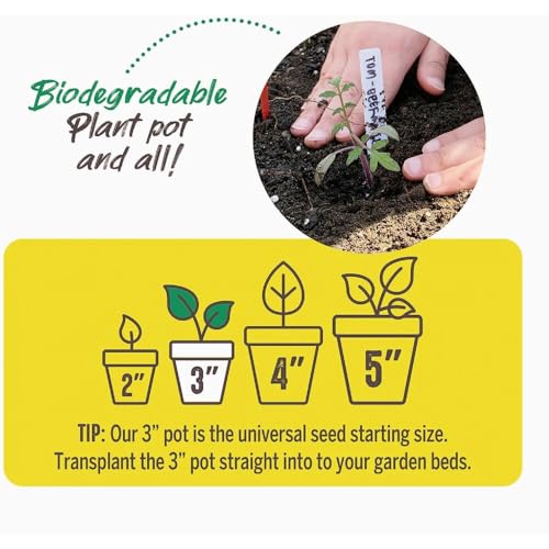 Jiffy Biodegradable Peat Pots for Seedlings, 3 Inch, 22 Pack - color: Brown, size: Small