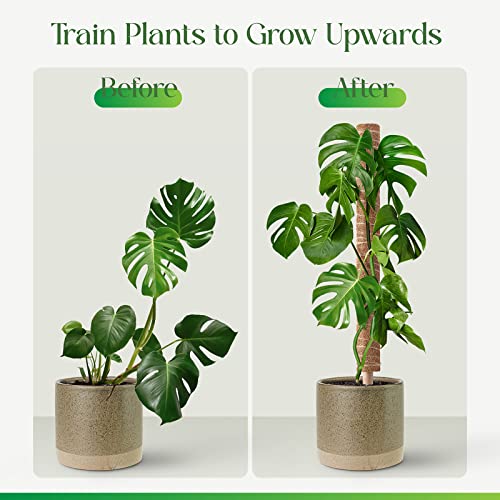 Pisol Moss Pole for Plants Monstera, Extendable Plant Sticks Support, 2Pcs