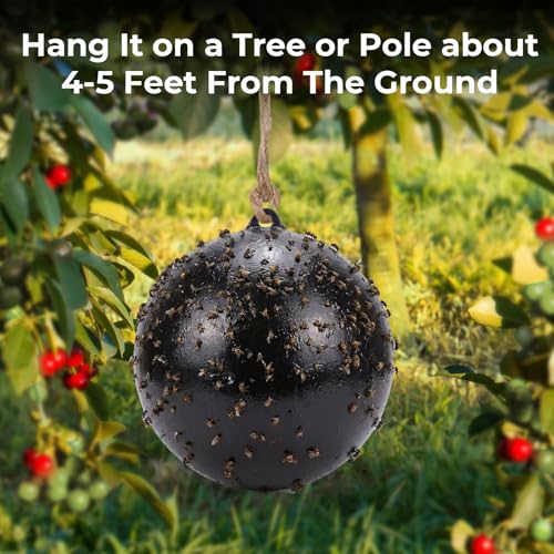 4 Pcs Large Fly Trap Balls Hanging Fly Catcher,Insect Bug - style: Insect Bug