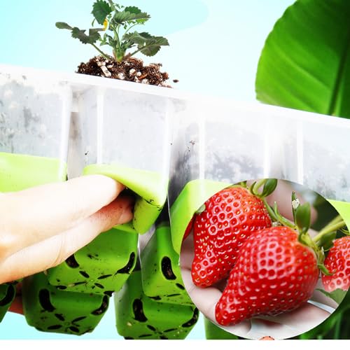 5pcs Seed Starter Tray,60 Cells Silicone Seeding Starter with Pop-Out Cells - size: 5PCS Green