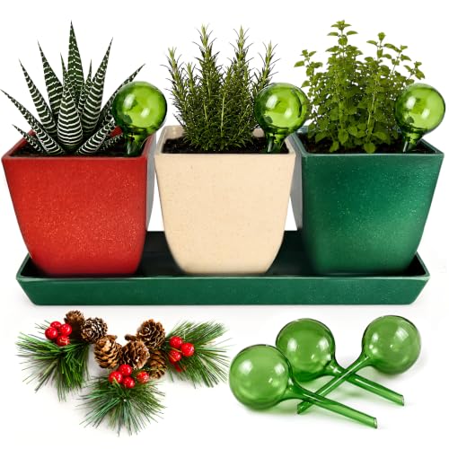 3.5" Christmas Succulent Pots, Plant Pots with Drainage Trays - color: Red,white,green
