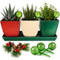 3.5" Christmas Succulent Pots, Plant Pots with Drainage Trays - color: Red,white,green