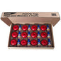 Terro Fruit Fly Traps for Indoors (12 Pack) + 540 Days of Lure Supply - size: 12 Traps