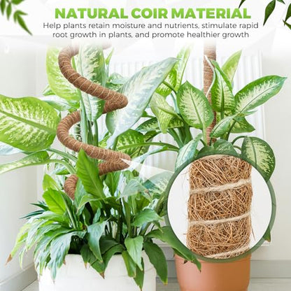 Moss Pole Monstera Plant Support 2 Pack 50 Inch Bendable Monstera Support - size: 50 in (2 Pack)