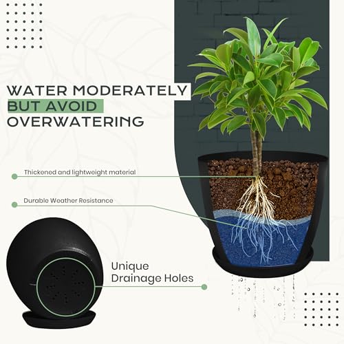Plant Pots Indoor with Drainage, 10 Pack Multi-Size Planters Set, Black - color: Black, size: Pack of 10