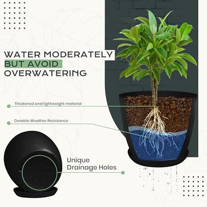 Plant Pots Indoor with Drainage, 10 Pack Multi-Size Planters Set, Black - color: Black, size: Pack of 10