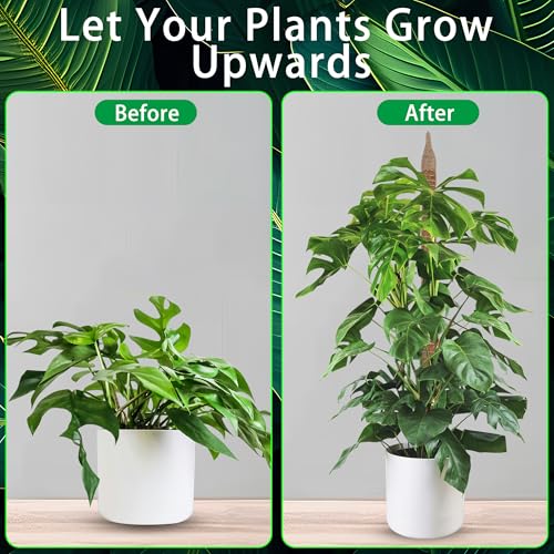 Bendable Moss Pole, 2 Pack 46'' Monstera Plant Support, Large Moss Pole for Indoor Potted Plants