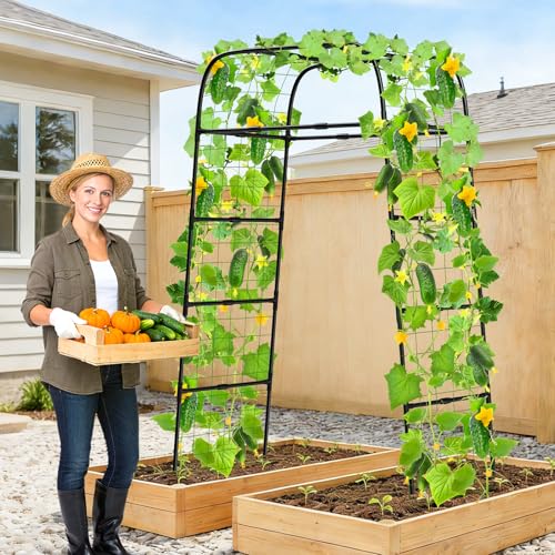7ft Garden Arch Trellis for Climbing Plants Outdoor-Heavy Duty Metal Cucumber Trellis for Raised Beds- Tall Steel Vegetable Arbor for Climbing Vine Fruit Flower Yard Lawn Arch Tunnel Trellis - size: 32.28 in × 39.37 in × 82.68 in
