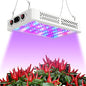 TATU 1000w LED Grow Light for Indoor Plants, Full Spectrum Plant Light - size: 12.6"D x 8.7"W x 1.9"H