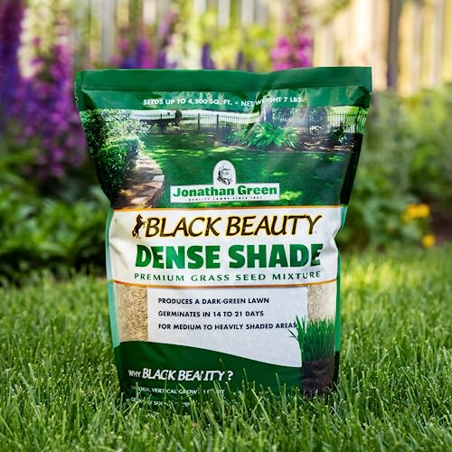 Jonathan Green Black Beauty Dense Shade Grass Seed - 1 lb - size: 1 lb