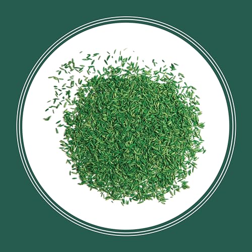 Pennington Smart Seed Sun and Shade Mix North Grass Seed, 20 lb - size: Sun & Shade North,20lb