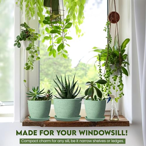 Plant Pots Indoor with Drainage 5 Pack Multi-Size Planters Set Spotty Mint - color: Speckled Mint, size: Pack of 5