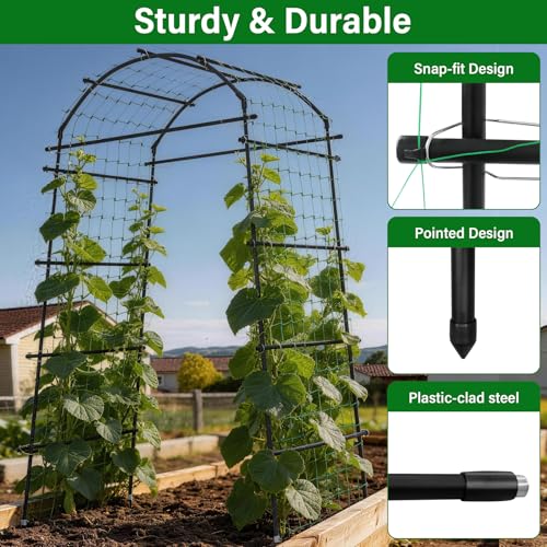 Garden Arch Trellis for Climbing Plants