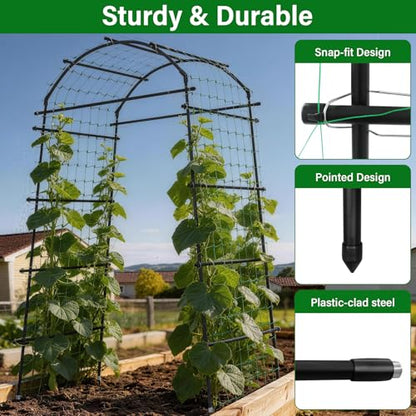 Garden Arch Trellis for Climbing Plants