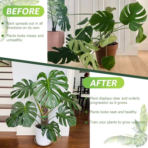 2 Pack 16 Inch Plastic Moss Poles for Climbing Plants D Shaped Moss Pole - size: 2 PACK