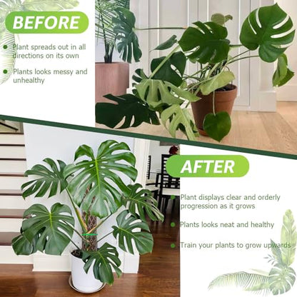 2 Pack 16 Inch Plastic Moss Poles for Climbing Plants D Shaped Moss Pole - size: 2 PACK