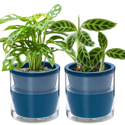 D'vine Dev Self-Watering Blue Terracotta Planter, 6 in, 2-Pack, 37-Y-B-4 - color: Blue, size: 6 Inch