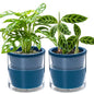 D'vine Dev Self-Watering Blue Terracotta Planter, 6 in, 2-Pack, 37-Y-B-4 - color: Blue, size: 6 Inch