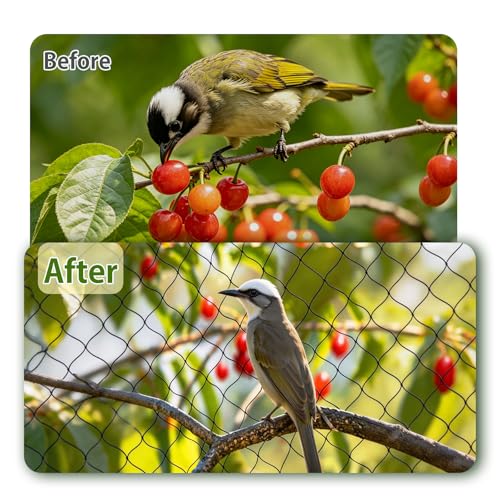 Jollybower Bird Netting 25'x25' Heavy Duty Nylon, 3/4" Square Mesh Poultry Chicken Coop Netting, Garden Netting for Fruit Trees Plants Against Hawks Wild Animals - size: 25'x25'-3/4"