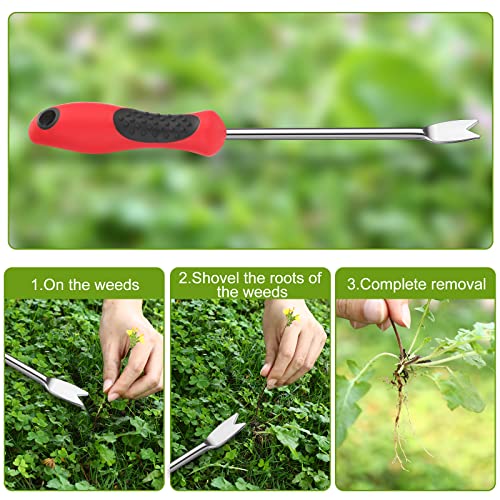 CHENGU 2 Pack Dandelion Weeder Tool with Handle, Polished Aluminum Alloy Weed Puller, Two-Pronged Fork Weeder Tool for Lawn Yard Farmland Gardening Transplant Plant