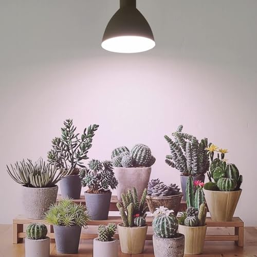 Smart LED PAR38 Grow Light, Dimmable, Sun Mode Dimming - Mimics Real Sunshine, Daily Run Auto Timer, Remote Control - Full Spectrum for Indoor Plant Growth