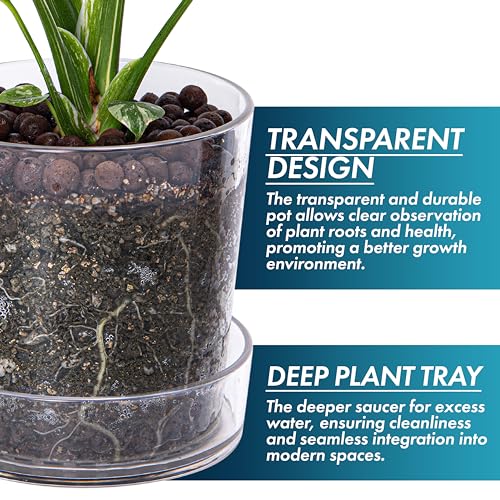 Phoenix Vine 6.5 Inch Clear Acrylic Planter Pot with Tray, Orchid Pot with Drainage Holes, Deep Saucer for Bottom Watering, Transparent Containers for Indoor Plants, Herbs, Set of 1, 91-A-F-1 - size: 6.5 Inch