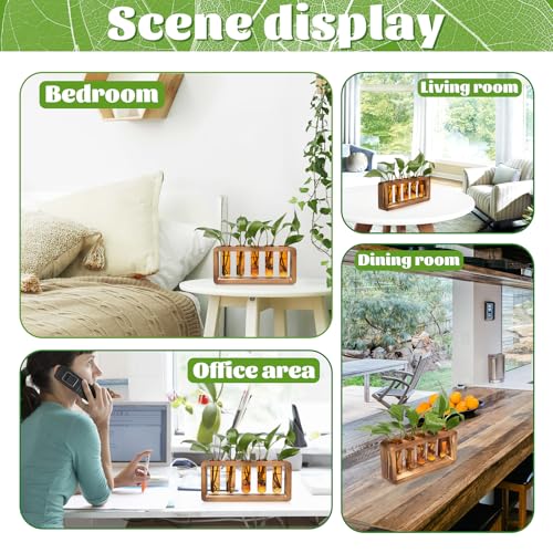 Glass Plant Propagation Station with 5 Test Tubes Colorful Planter Vase - color: Amber