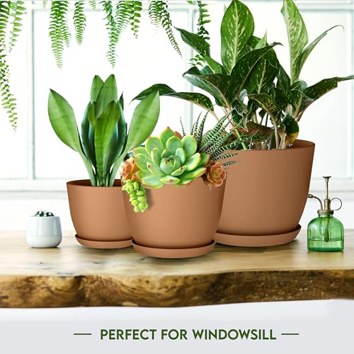 Plant Pots Indoor with Drainage, 5 Pack Multi-Size Planters Set, Terracotta - color: Terracotta, size: Pack of 5