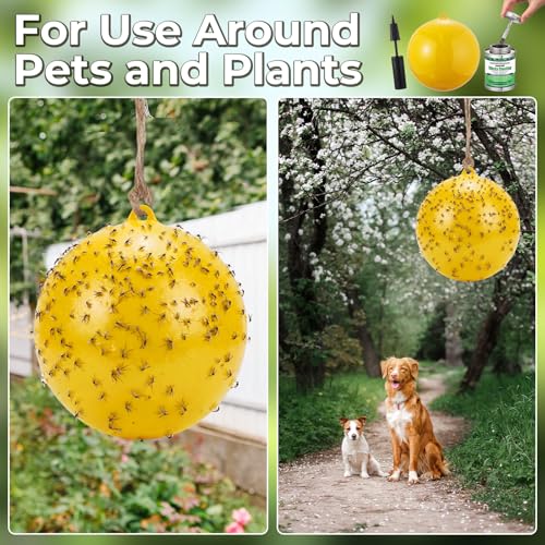 4 Pcs Large Fly Trap Balls Hanging Fly Catcher,Gnat Insect Bug - style: Gnat Insect Bug