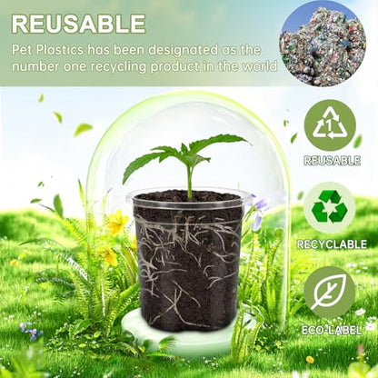 30 Pack Clear Nursery Plant Pots, 5 Inch with Drainage Holes, 20 Labels - size: 5 inch 30p