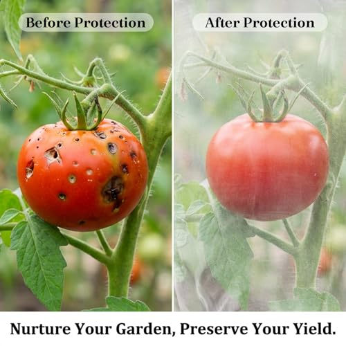 Sukh Bird Netting for Garden Protection - Blueberry Bush Netting
