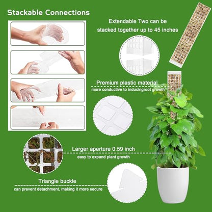 Plastic Moss Pole for Monstera and Climbing Plants, 24-Inch, 4-Pack